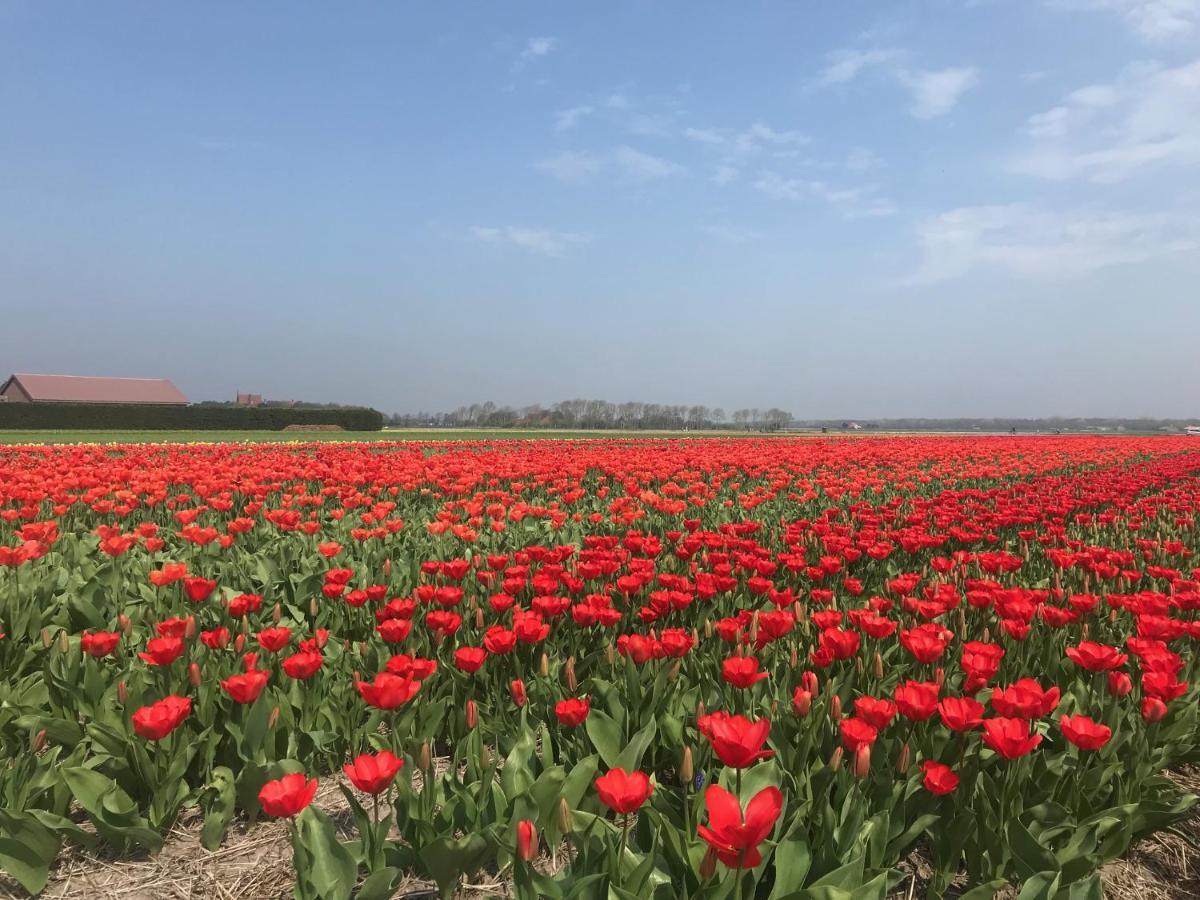 Vakantiehuis Achter De Duinen Кастрикюм Экстерьер фото