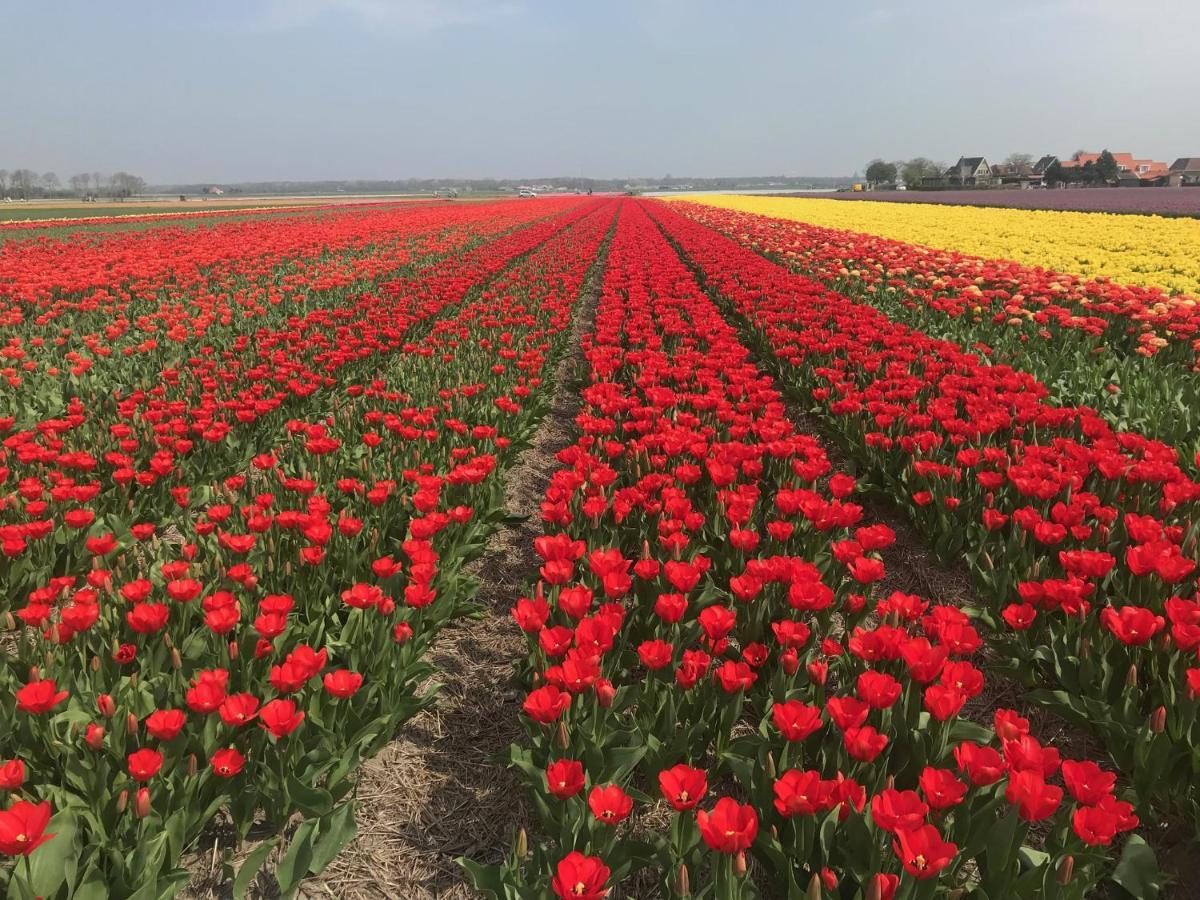 Vakantiehuis Achter De Duinen Кастрикюм Экстерьер фото